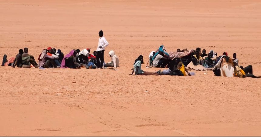 Les experts de l’Onu exhortent la Tunisie à respecter les droits des migrants
