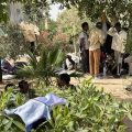 Tunisie : 450 migrants subsahariens hébergés dans des camps à la frontière libyenne