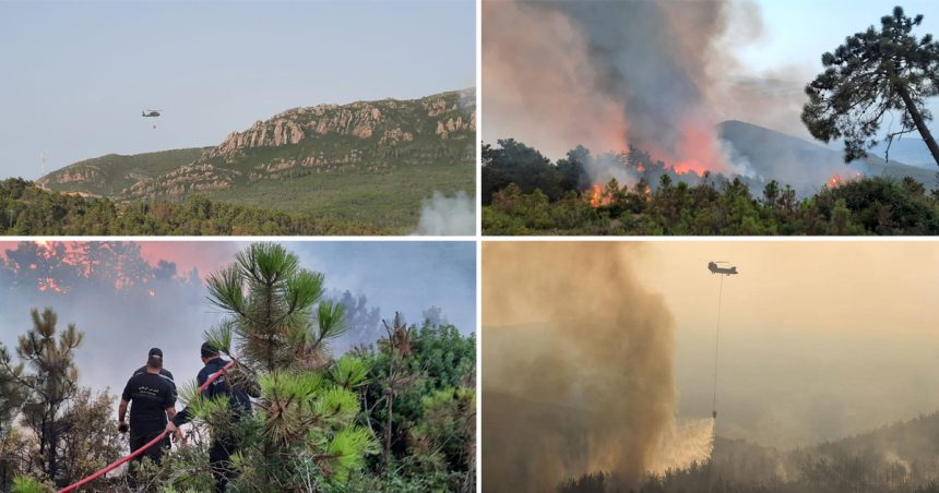 Jendouba : Les efforts se poursuivent pour maîtriser un incendie à Tabarka