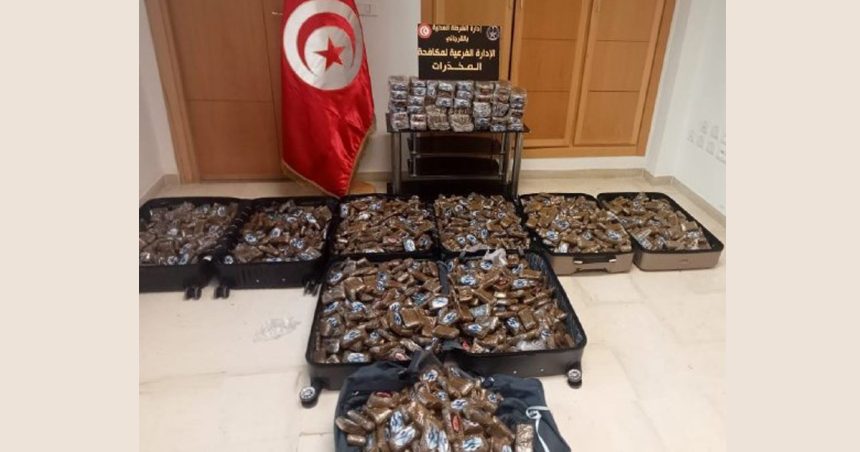 Jardins de Carthage : Saisie de 226 kg de cannabis d’une valeur de 6 MD !