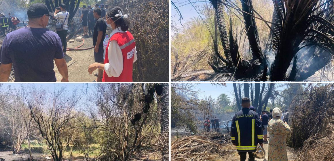 L’incendie à Gafsa maîtrisé : 3.5 hectares de végétation ravagés