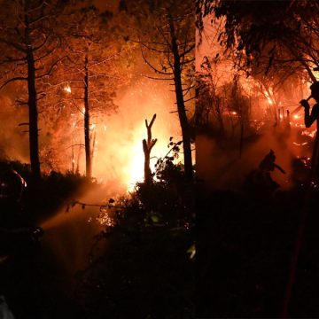 Béja : Le lourd bilan des incendies de Nefza