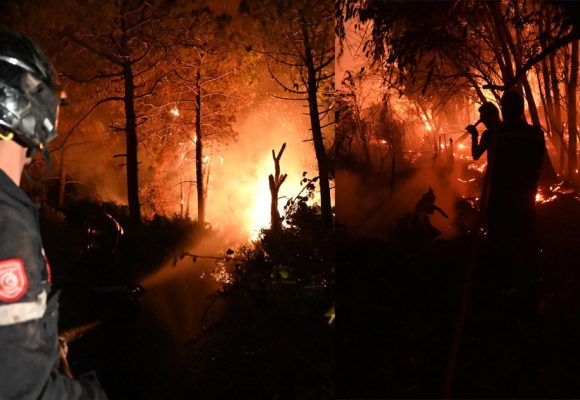 Béja : Le lourd bilan des incendies de Nefza