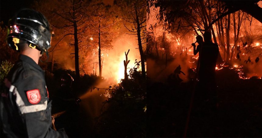 Béja : Le lourd bilan des incendies de Nefza