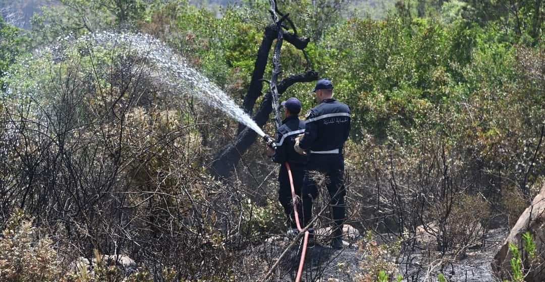 La Protection civile appelle à la vigilance face aux risques d&rsquo;incendies de forêt