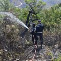 La Protection civile appelle à la vigilance face aux risques d&rsquo;incendies de forêt