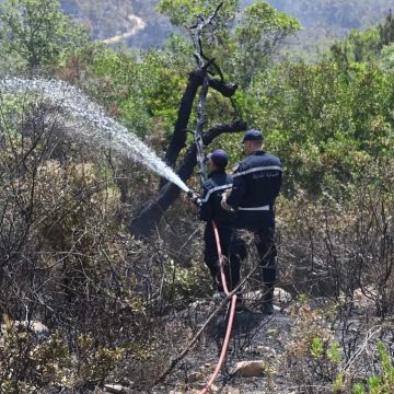La Protection civile appelle à la vigilance face aux risques d&rsquo;incendies de forêt