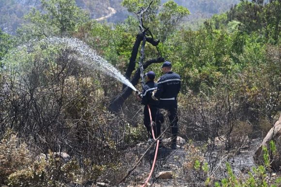 incendie-Tabarka8 La Protection civile appelle à la vigilance face aux risques d’incendies de forêt