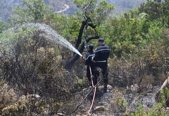 La Protection civile appelle à la vigilance face aux risques d&rsquo;incendies de forêt