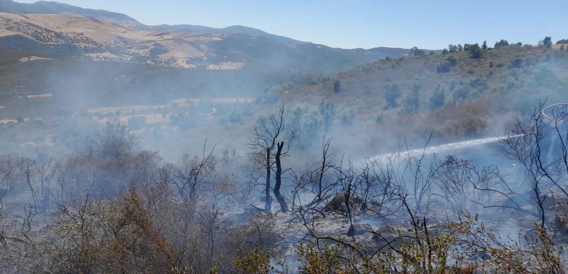 Jendouba : Un incendie de forêt maîtrisé à Ghardimaou