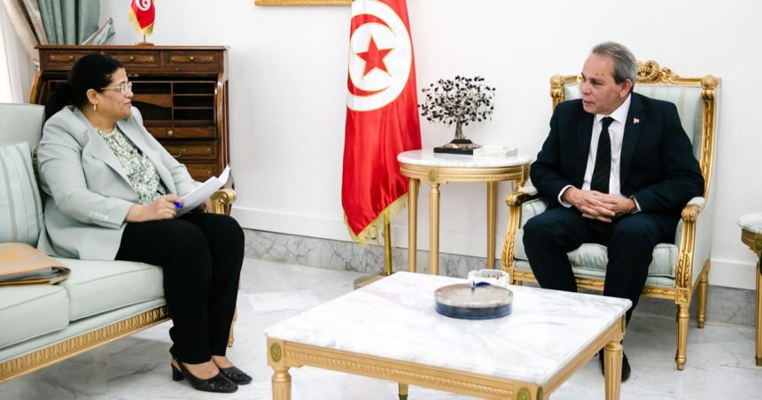 Tunisie : les finances publiques, principal souci du gouvernement Hachani