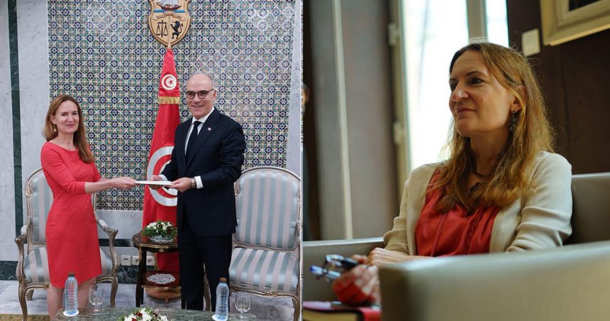 Biographie de la nouvelle ambassadrice de France en Tunisie Anne Guéguen