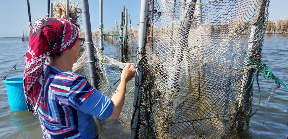 L’Italie absorbe le tiers des exportations tunisiennes de produits de la pêche   