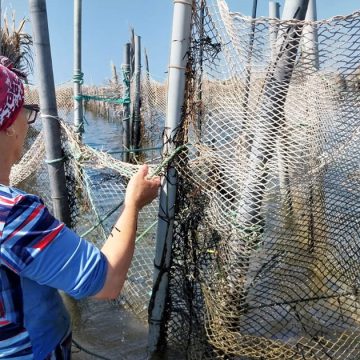 L’Italie absorbe le tiers des exportations tunisiennes de produits de la pêche   