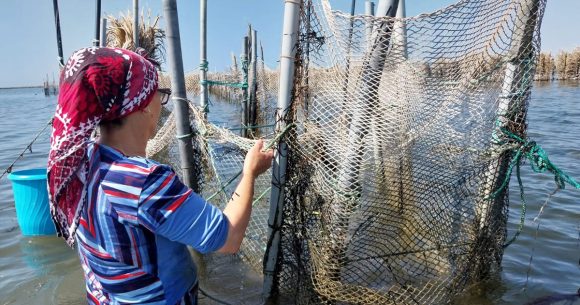 L’Italie absorbe le tiers des exportations tunisiennes de produits de la pêche   