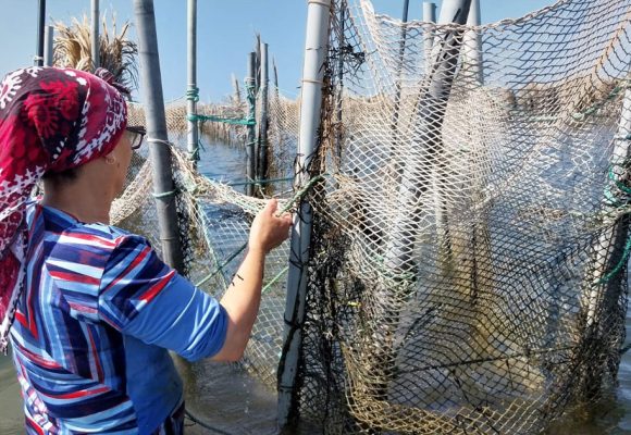 L’Italie absorbe le tiers des exportations tunisiennes de produits de la pêche   