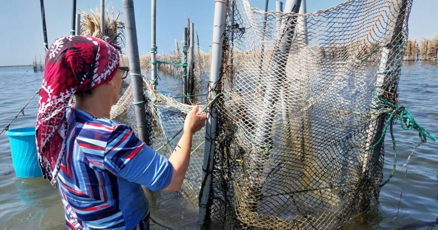 L’Italie absorbe le tiers des exportations tunisiennes de produits de la pêche   