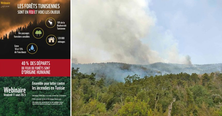 Pour un système durable de prévention des incendies de forêt en Tunisie