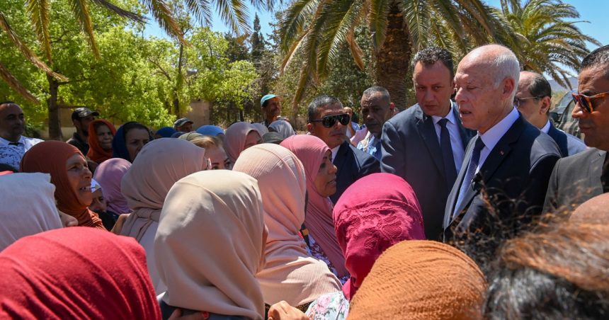 Tunisie : les ouvrières agricoles oubliées, hier comme aujourd’hui