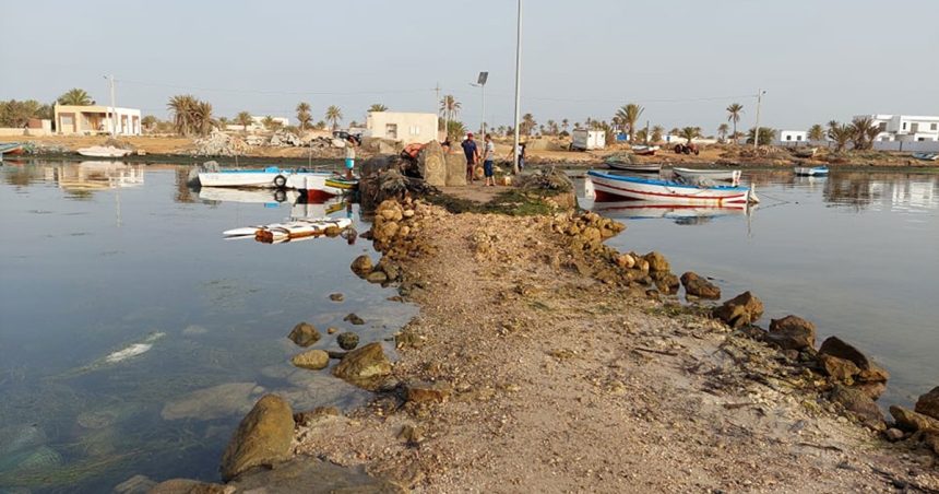 La montée des eaux menace les îles Kerkennah en Tunisie