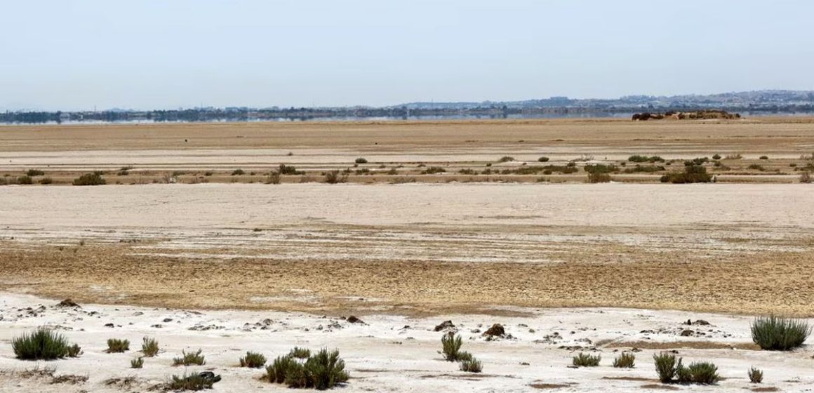 Tunisie : les oiseaux migrateurs désertent les zones humides desséchées