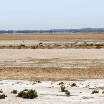 Tunisie : les oiseaux migrateurs désertent les zones humides desséchées