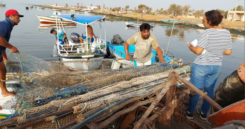 Tunisie : hausse des exportations des produits de la pêche