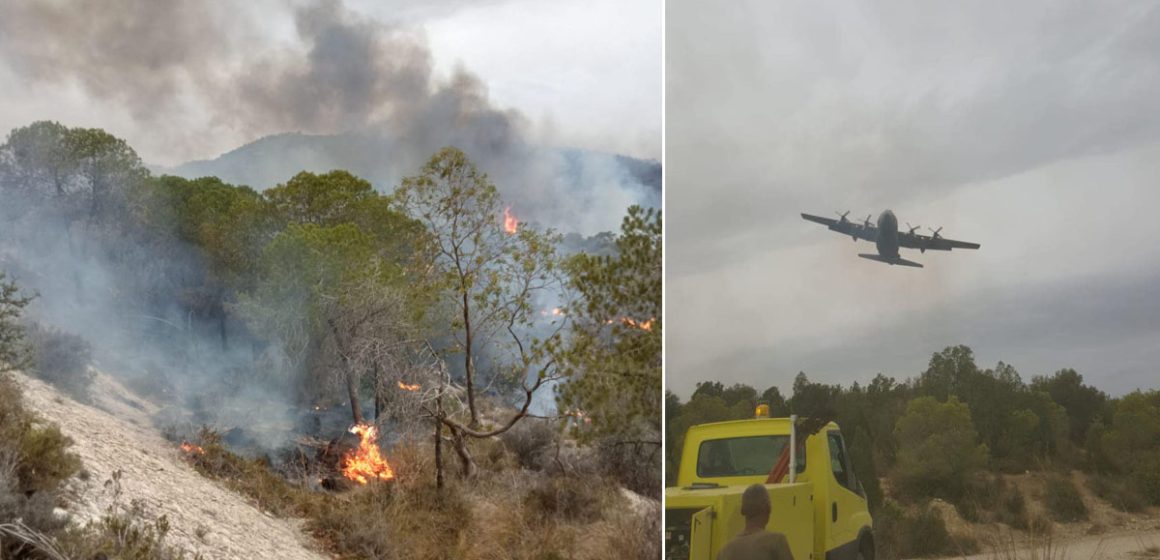 Incendie à Jebel Ennahli : Près de 16 hectares de forêt ravagés par les flammes