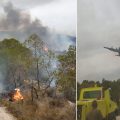 Incendie à Jebel Ennahli : Près de 16 hectares de forêt ravagés par les flammes