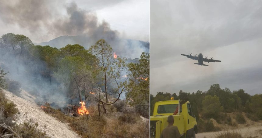 Incendie à Jebel Ennahli : Près de 16 hectares de forêt ravagés par les flammes
