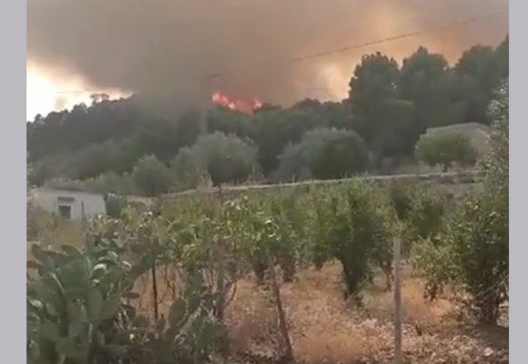 Ghardimaou : Les pompiers poursuivent leurs efforts pour venir à bout d’un incendie