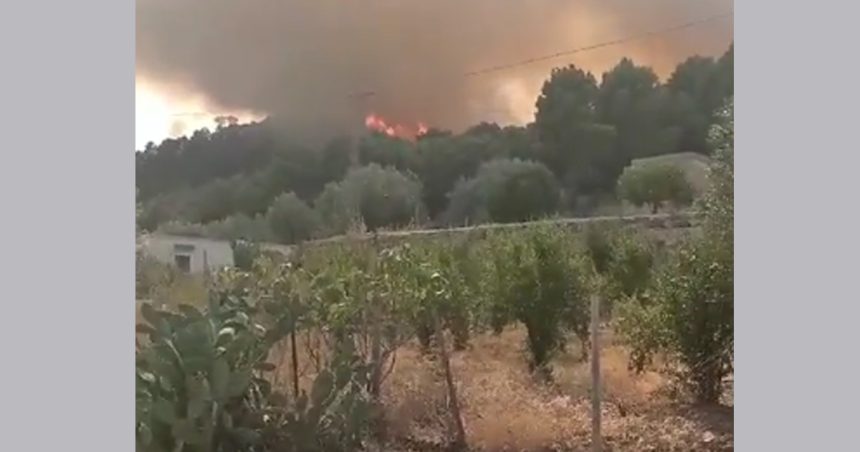 Ghardimaou : Les pompiers poursuivent leurs efforts pour venir à bout d’un incendie
