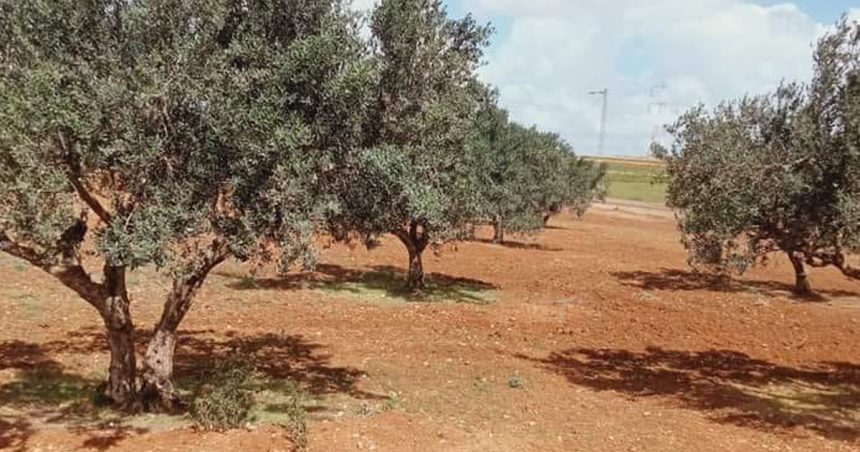 Tunisie : Qui veut chasser les techniciens agricoles des terres qu’ils exploitent ?  