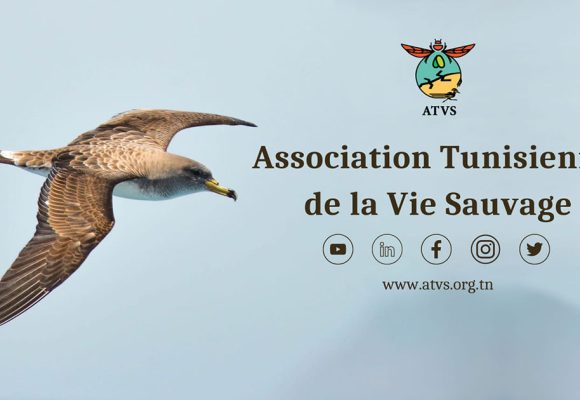 Tunisie : l’ATVS lance une campagne contre le braconnage
