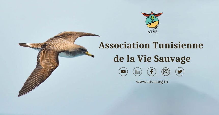 Tunisie : l’ATVS lance une campagne contre le braconnage