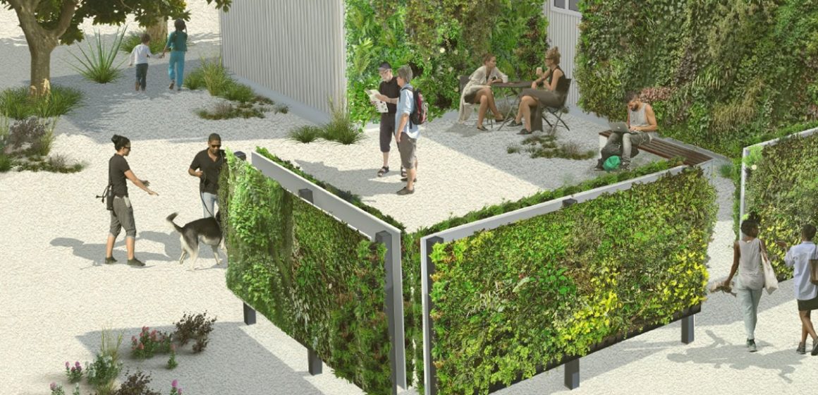 Projet pilote de traitement des eaux grises par mur végétal
