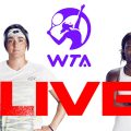 Ons Jabeur vs Alycia Parks en live streaming : Mexique Open 2023