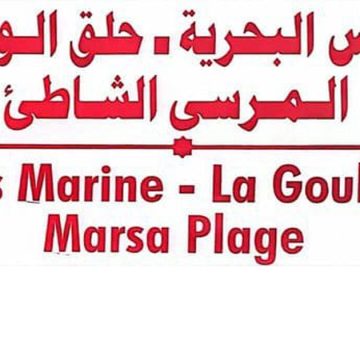 Transtu : Tout savoir sur la nouvelle ligne de bus Tunis Marine-La Marsa