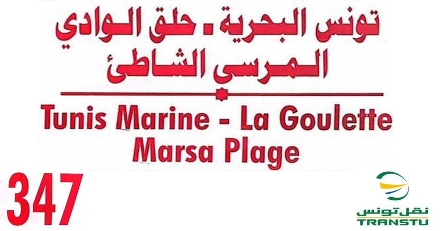 Transtu : Tout savoir sur la nouvelle ligne de bus Tunis Marine-La Marsa