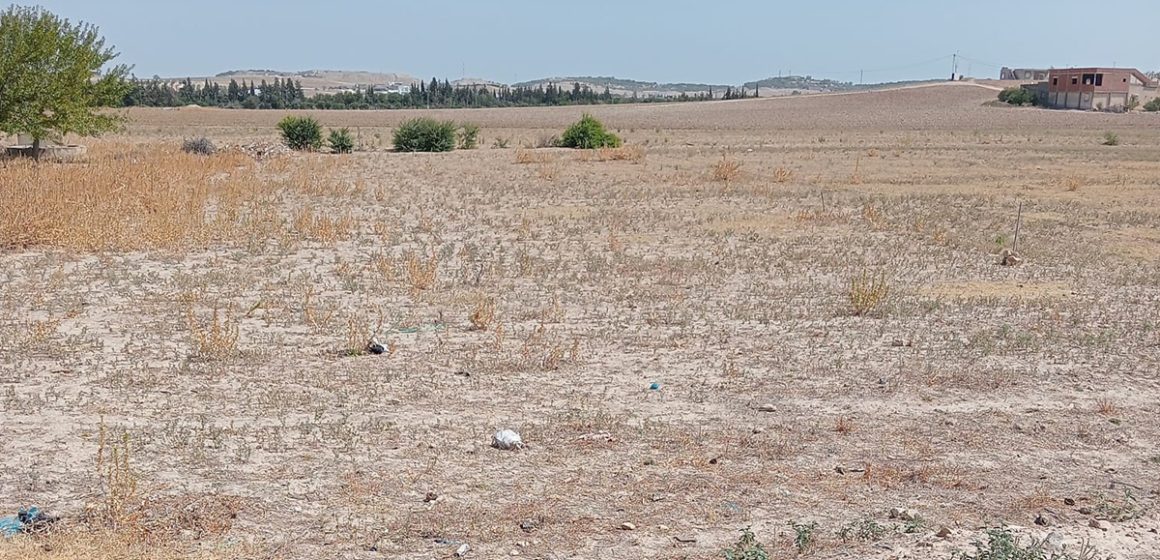 Tunisie : Récupération de trois terres domaniales à la Manouba