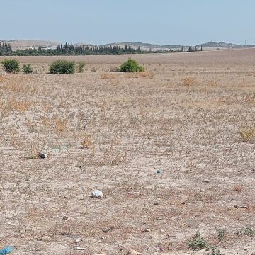 Tunisie : Récupération de trois terres domaniales à la Manouba