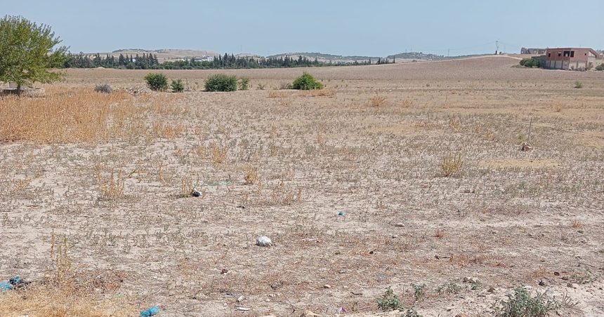 Tunisie : Récupération de trois terres domaniales à la Manouba