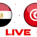 Tunisie vs Égypte en live streaming : match amical 2023