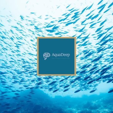 Tunisie : AquaDeep distinguée aux MedFish4Ever Awards 2023