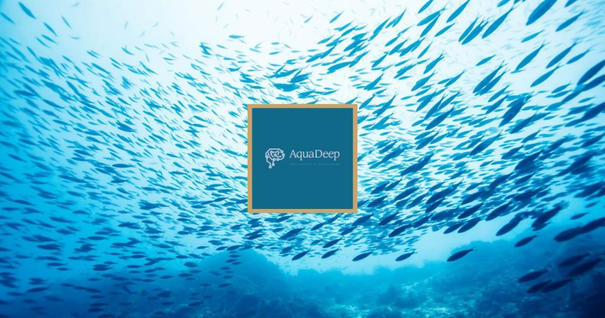 Tunisie : AquaDeep distinguée aux MedFish4Ever Awards 2023