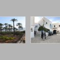 Djerba, patrimoine mondial : l’heure est à la mise en œuvre