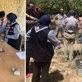 Tunisie : permaculture et agroécologie pour une vie plus saine