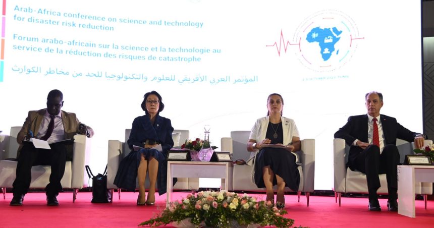 Coût de la stratégie tunisienne de réduction des risques de catastrophes