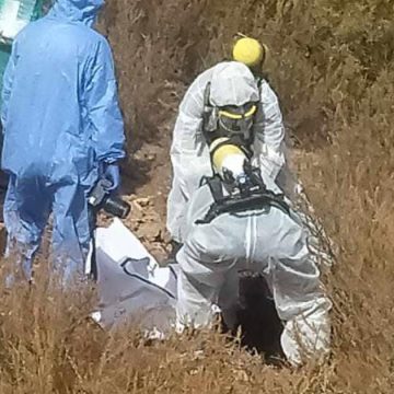 Enquête suite à la découverte d’un corps en décomposition à Ghardimaou
