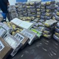 Tunisie : saisie de 200 kg de cannabis et 31 kg de cocaïne en 8 mois